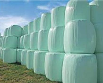 Silage Film